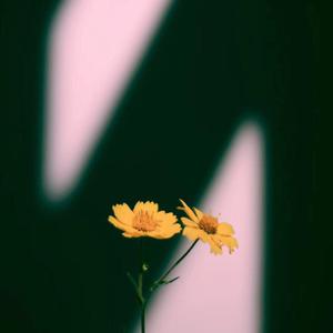 国产欧美日韩国产高清
