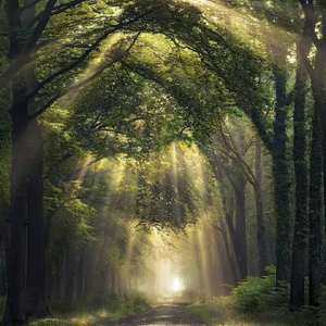 国产欧美日韩国产高清
